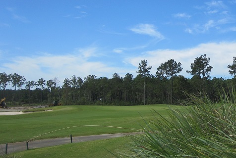 Brunswick Forest Leland NC golf